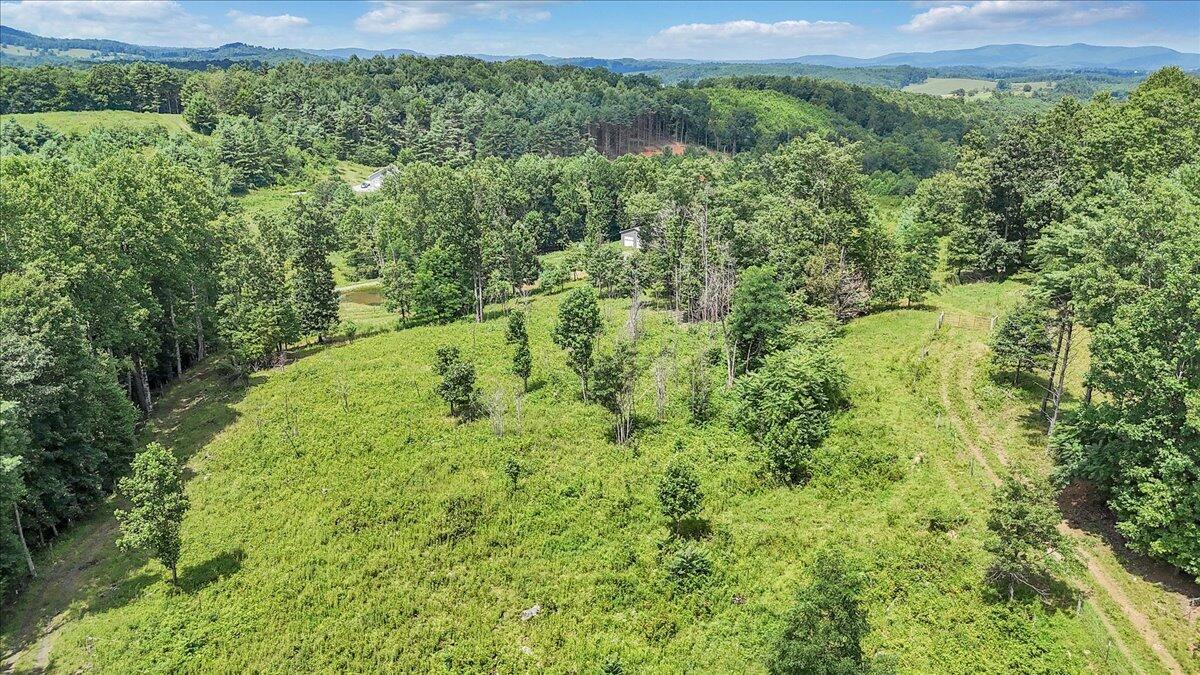 Image 2: 01-DJI_20250729121106_0004_D