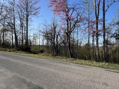 Lot #4B-3 Fork Mountain RD