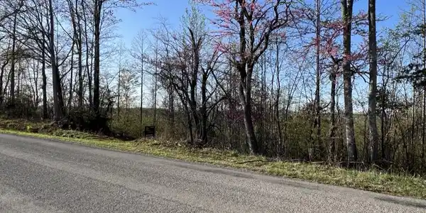 Lot #4B-3 Fork Mountain RD