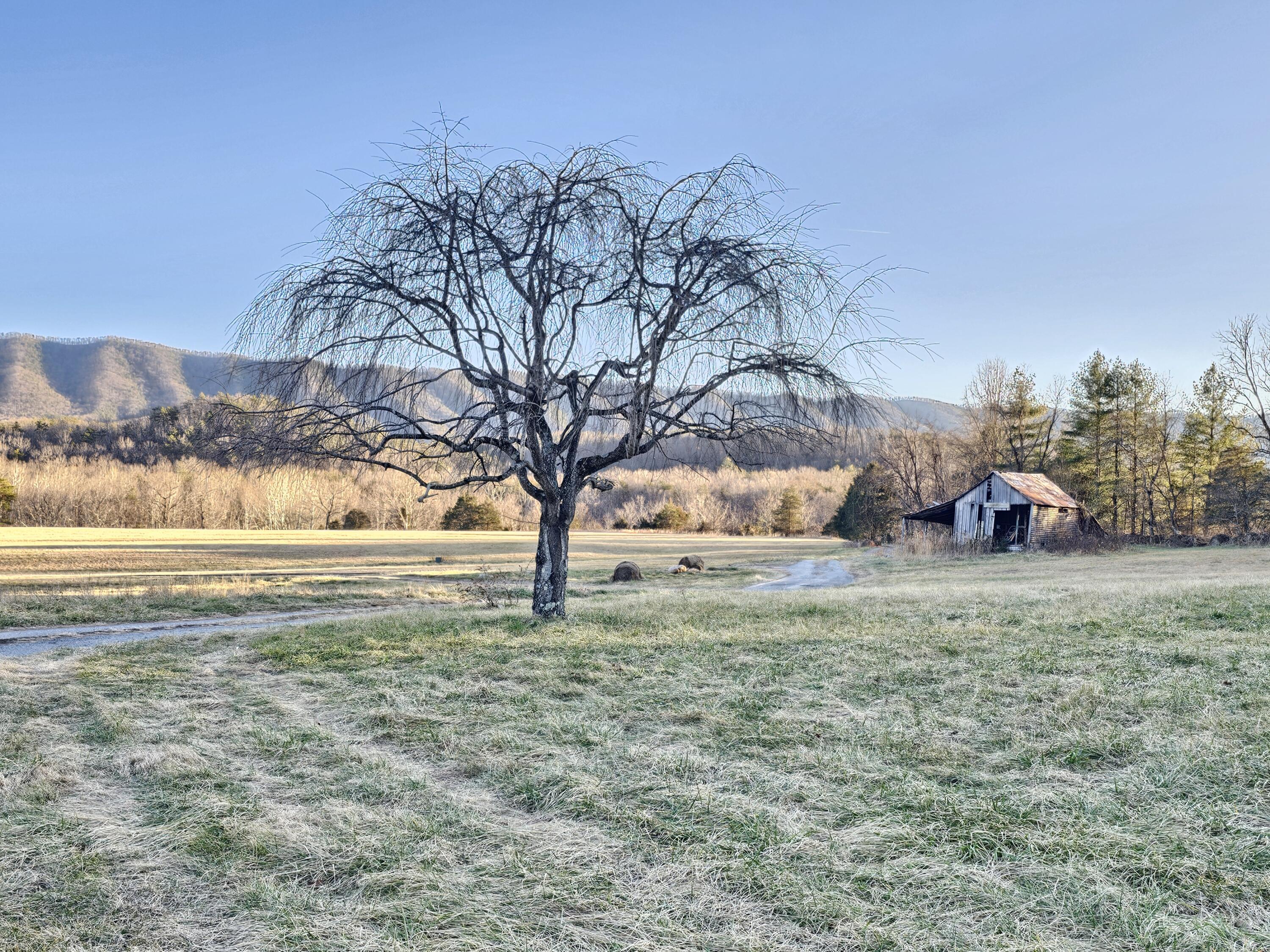 Image 1: 5106 Craig Valley Dr