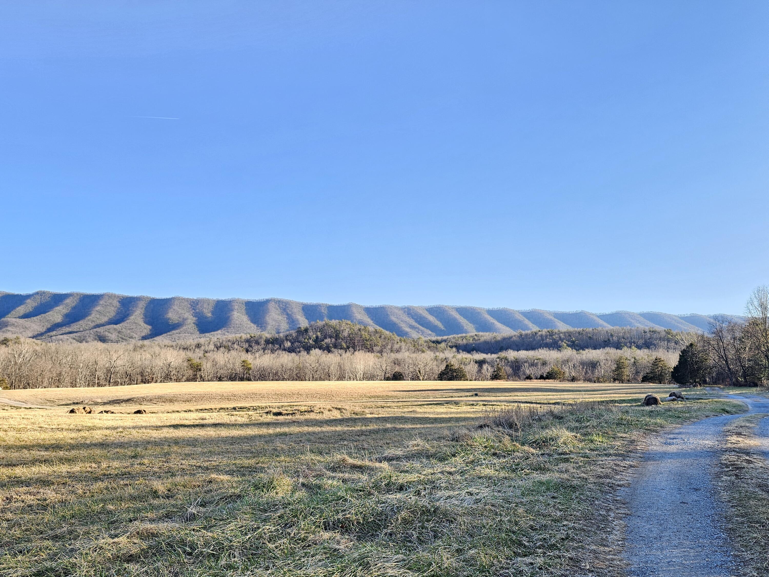 Image 4: Driveway views
