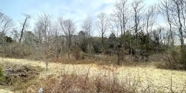 Image 4: 0