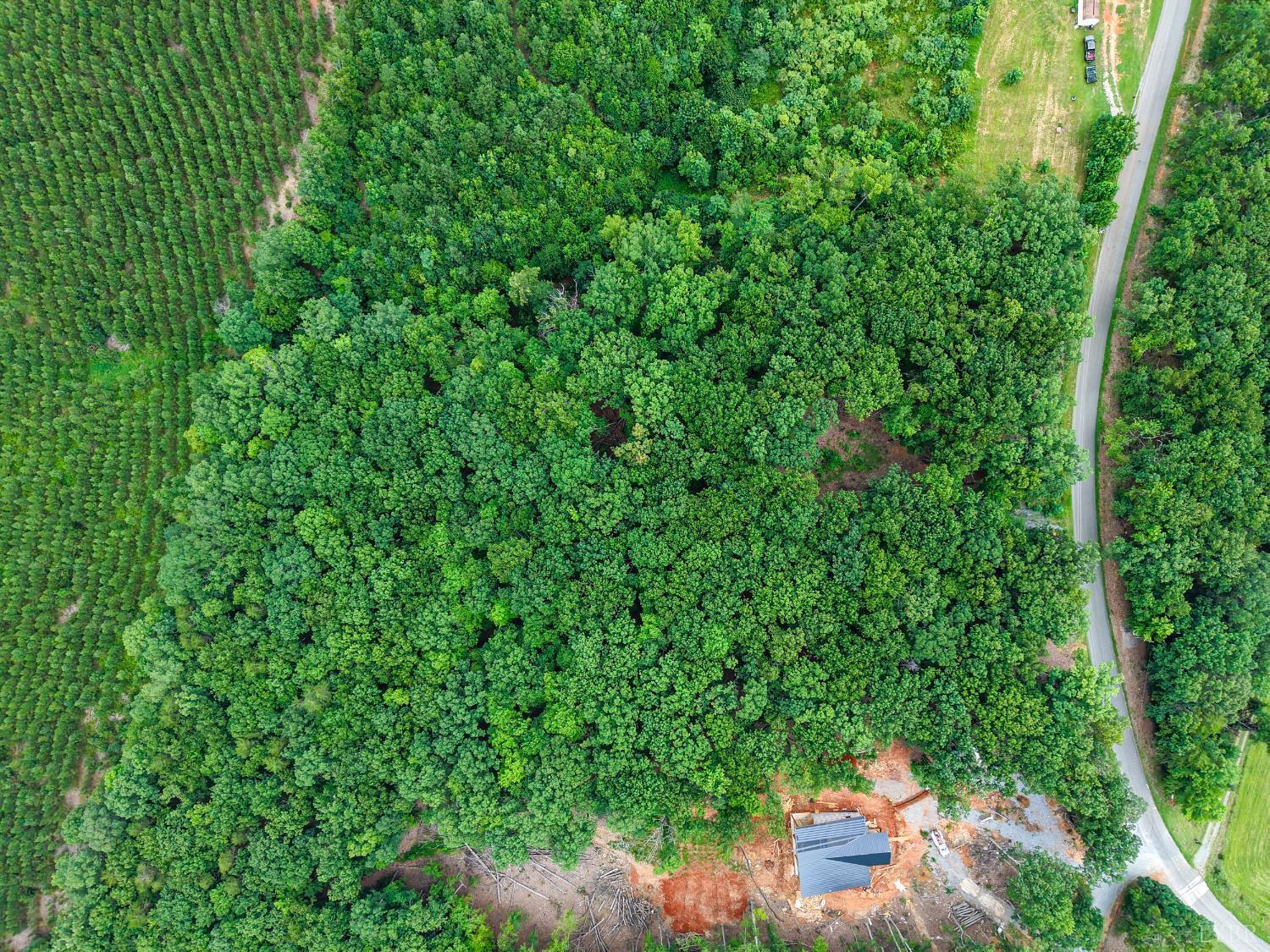 Image 2: c7d8bd24-601f-4b12-8c86-6a0e09662ec8