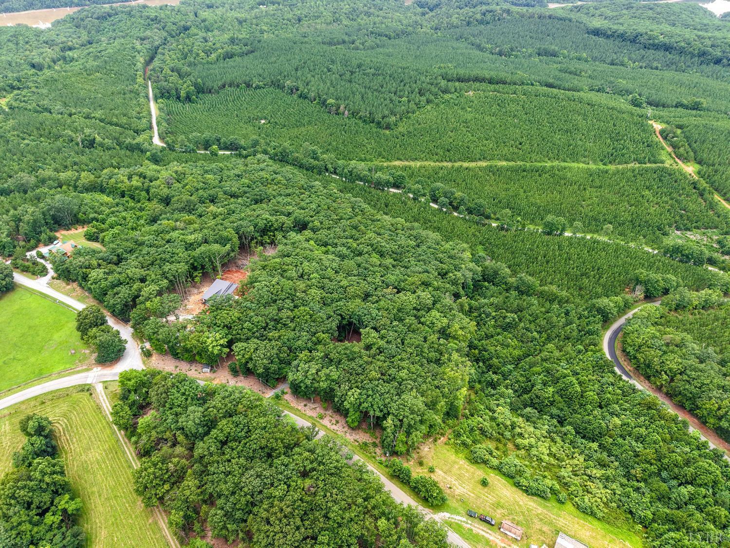 Image 4: e10fdde2-dcae-4851-a5e6-50e5f68d6ae3