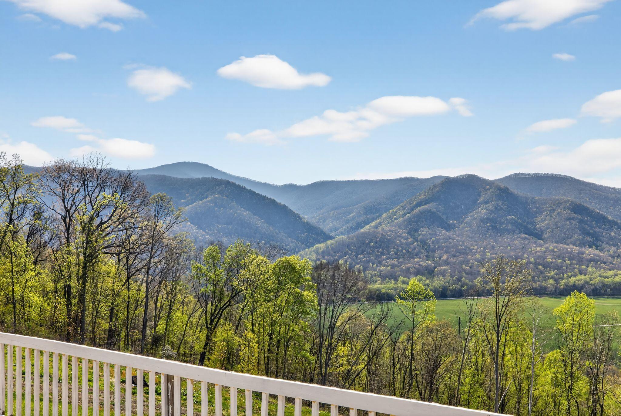 Image 4: 01_355_Clan_Alpine_Way_Glasgow_VA_24555_