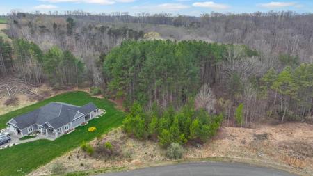 Lot 9 Pine Watch CIR