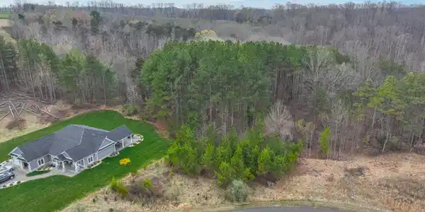 Lot 9 Pine Watch CIR