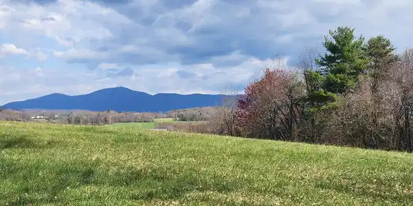 LOT 1 Callaway RD