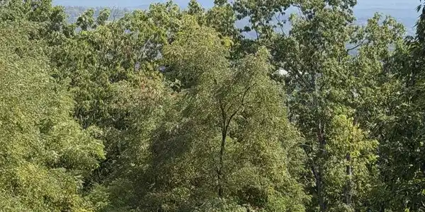 Image 2: View 2
