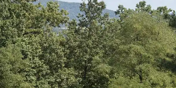 Image 3: View 3