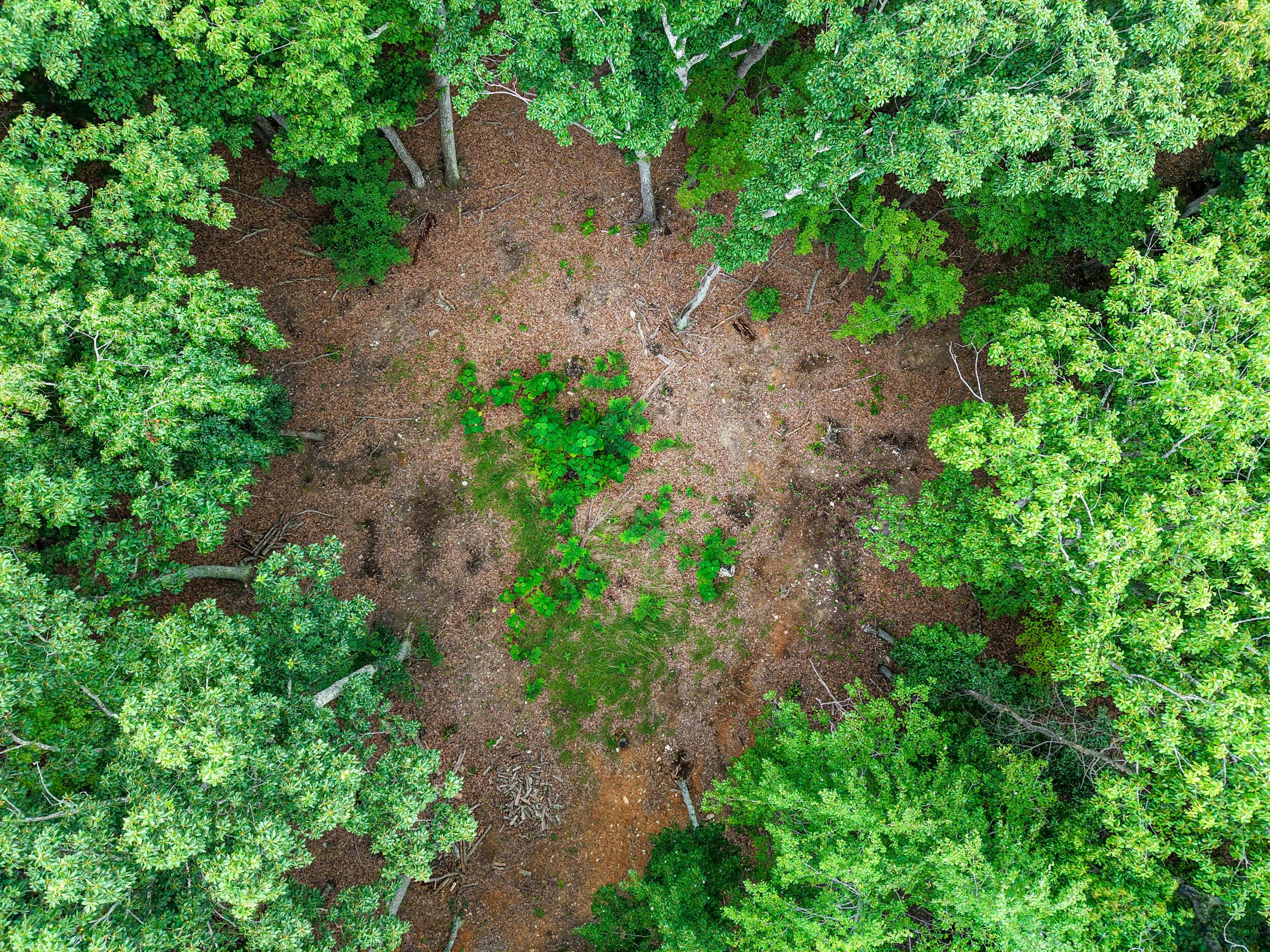 Image 4: other land_011