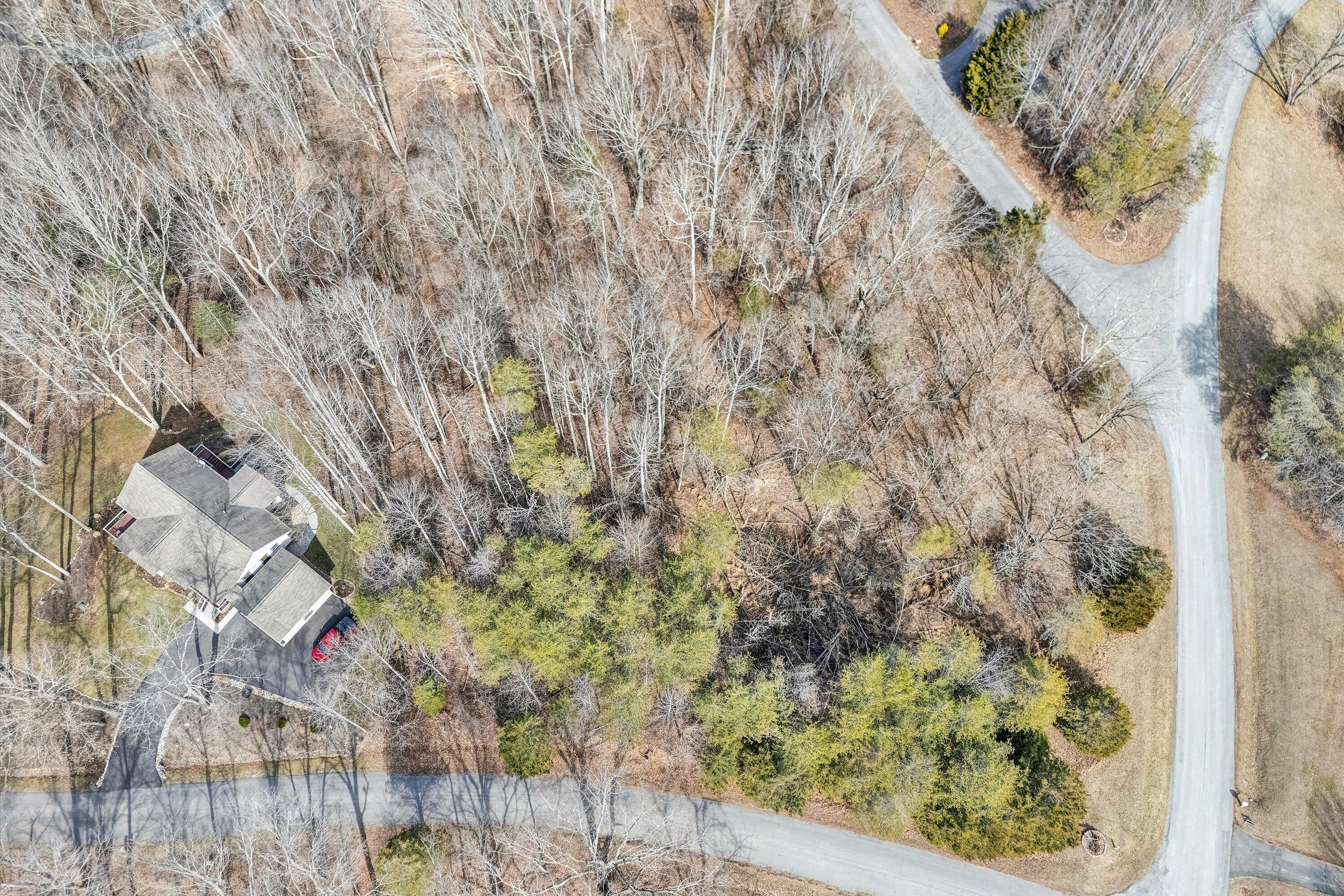 Image 4: 03-DJI_20260224113616_0013