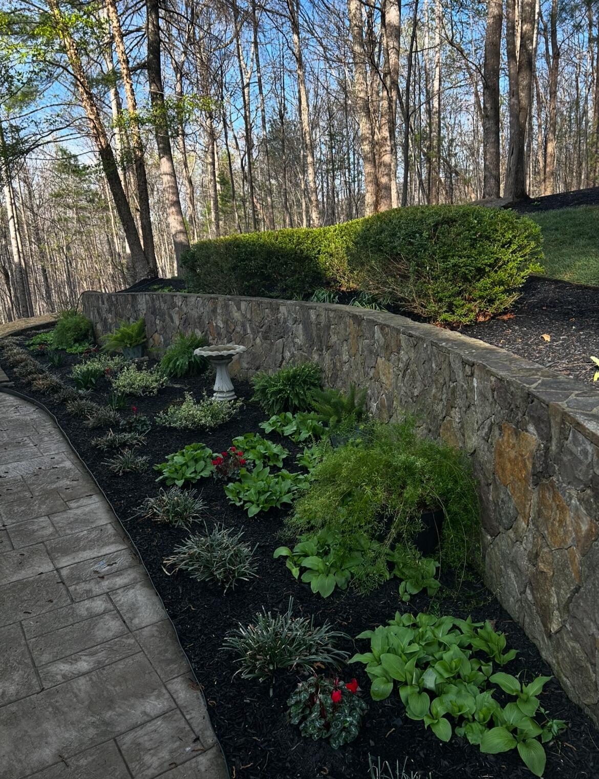 Image 4: Don't miss the details