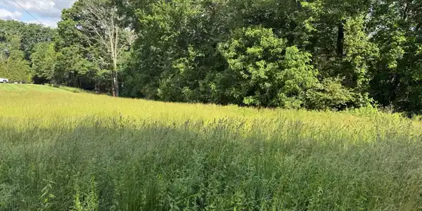 Green Level RD