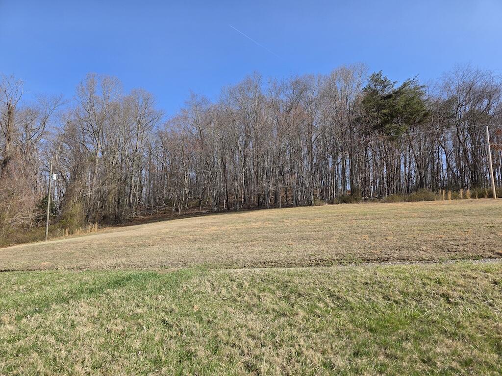 Image 1: 1