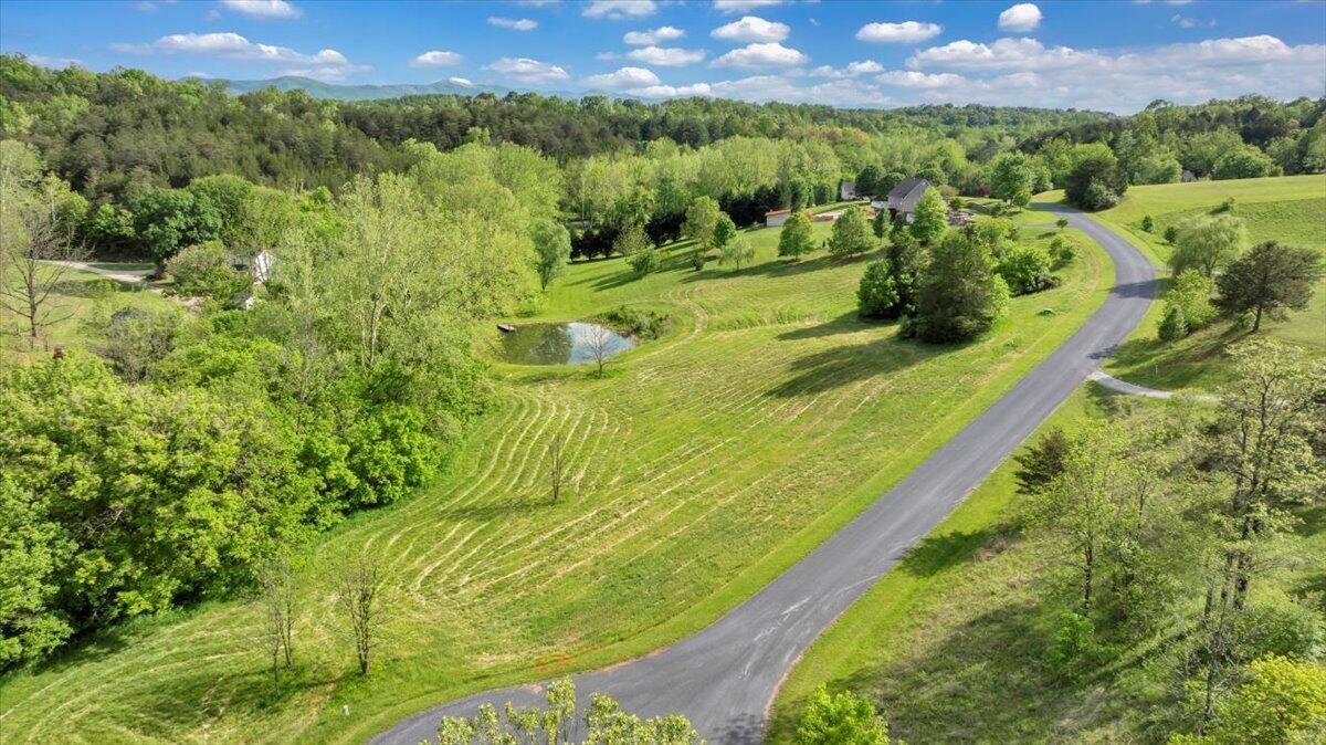 Image 2: 02-DJI_20250505015749_0125_D
