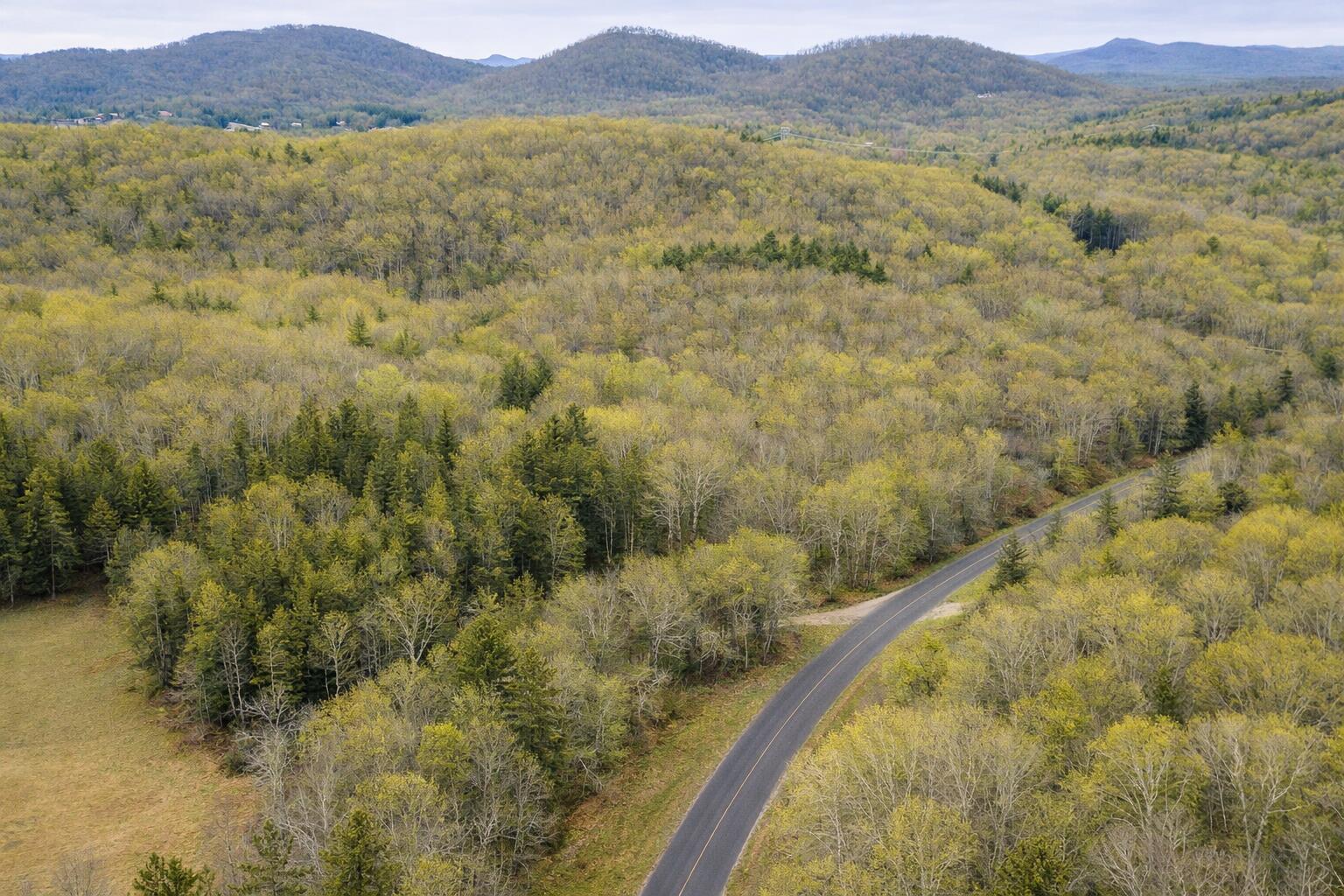 Image 2: Jones pic 2