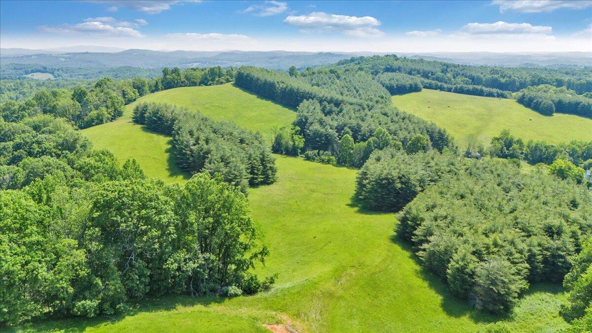 Image 1: 15-DJI_20250603105412_0233_D