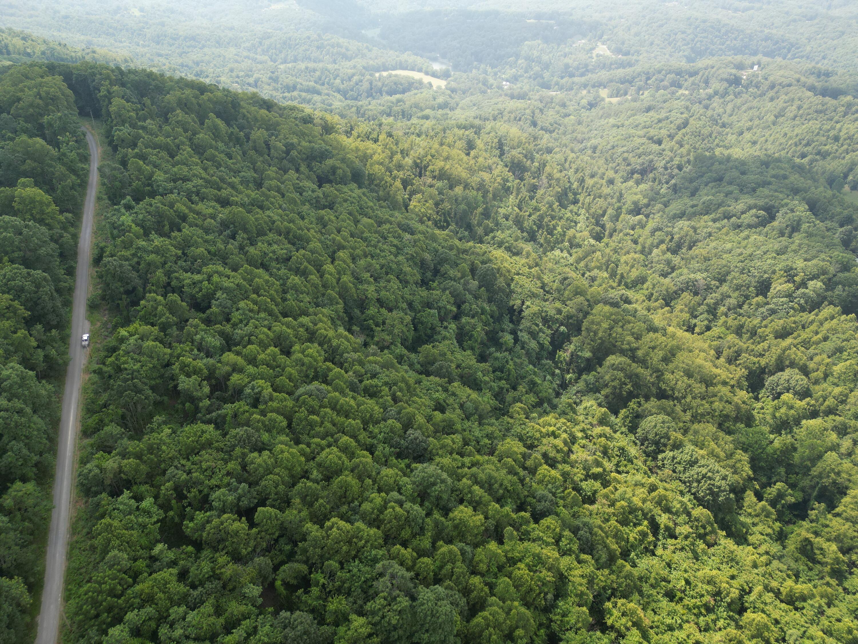 Image 3: Wooded Acreage