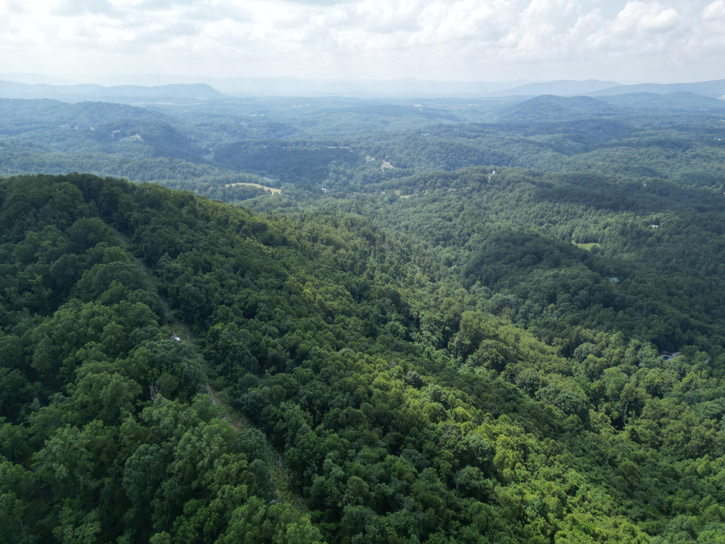 Image 4: Wooded 10.3 Acres