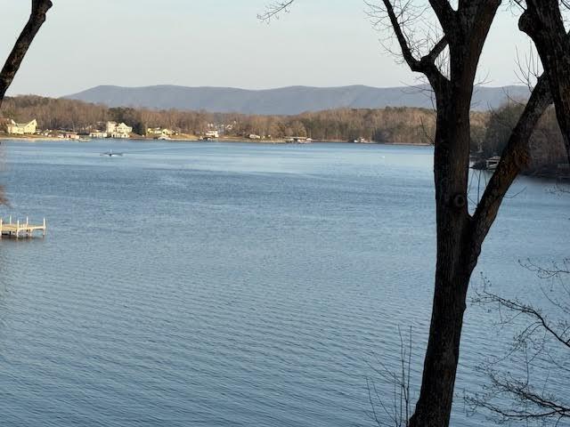 Image 2: Mountain View