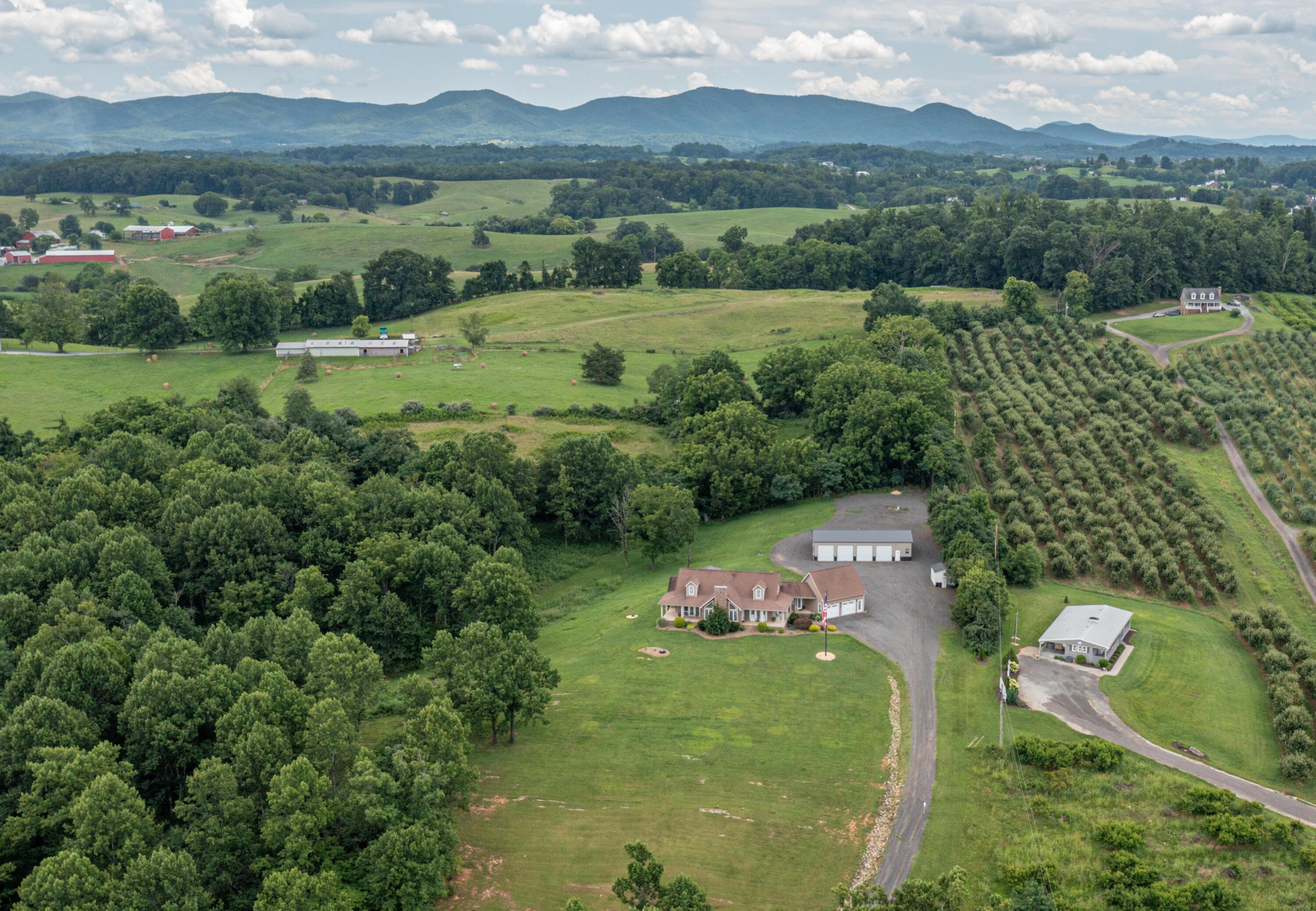 Image 4: Aerial