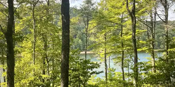 Image 3: Views Lot 119