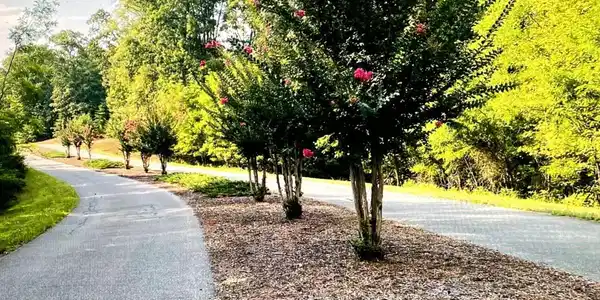 Image 4: Eagle Pointe Shores Entrance