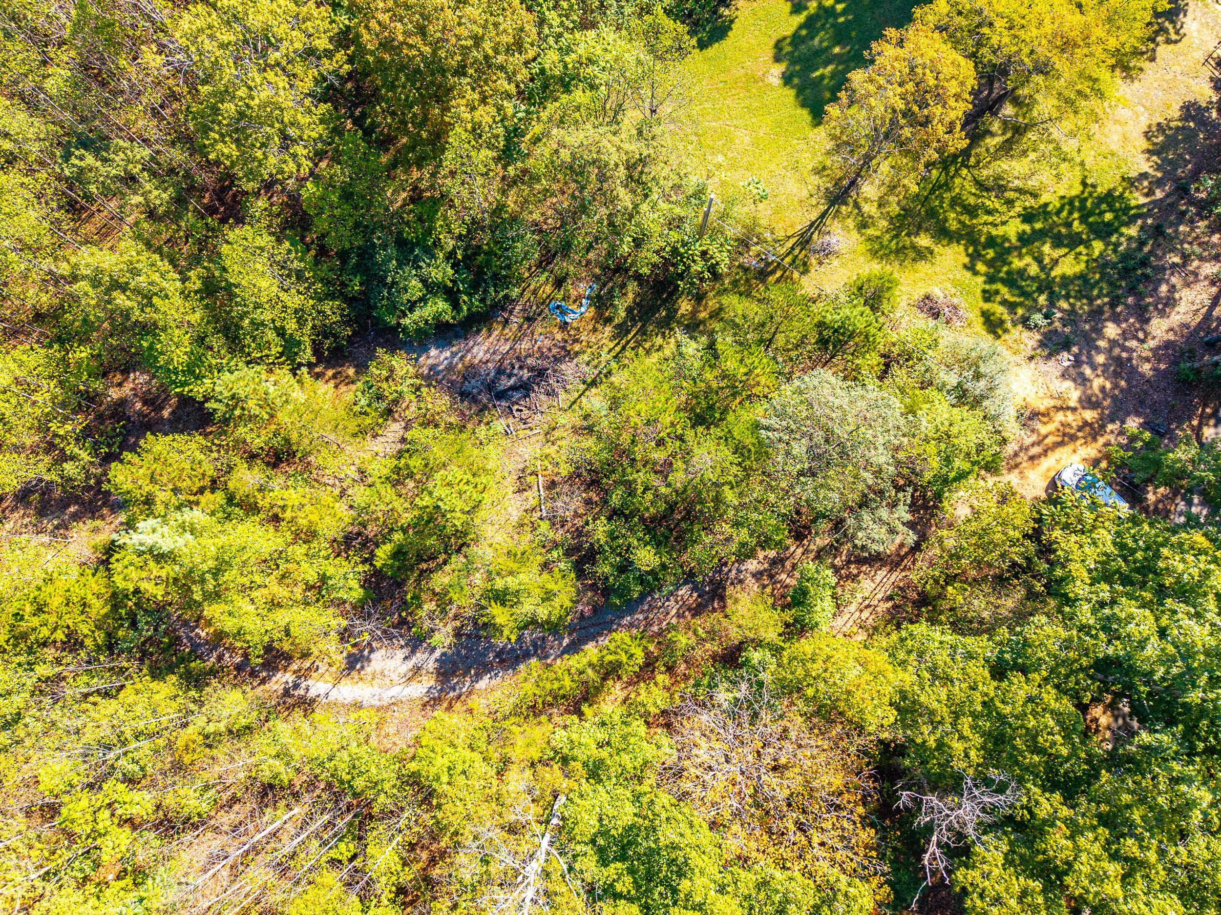 Image 3: stoney run_023