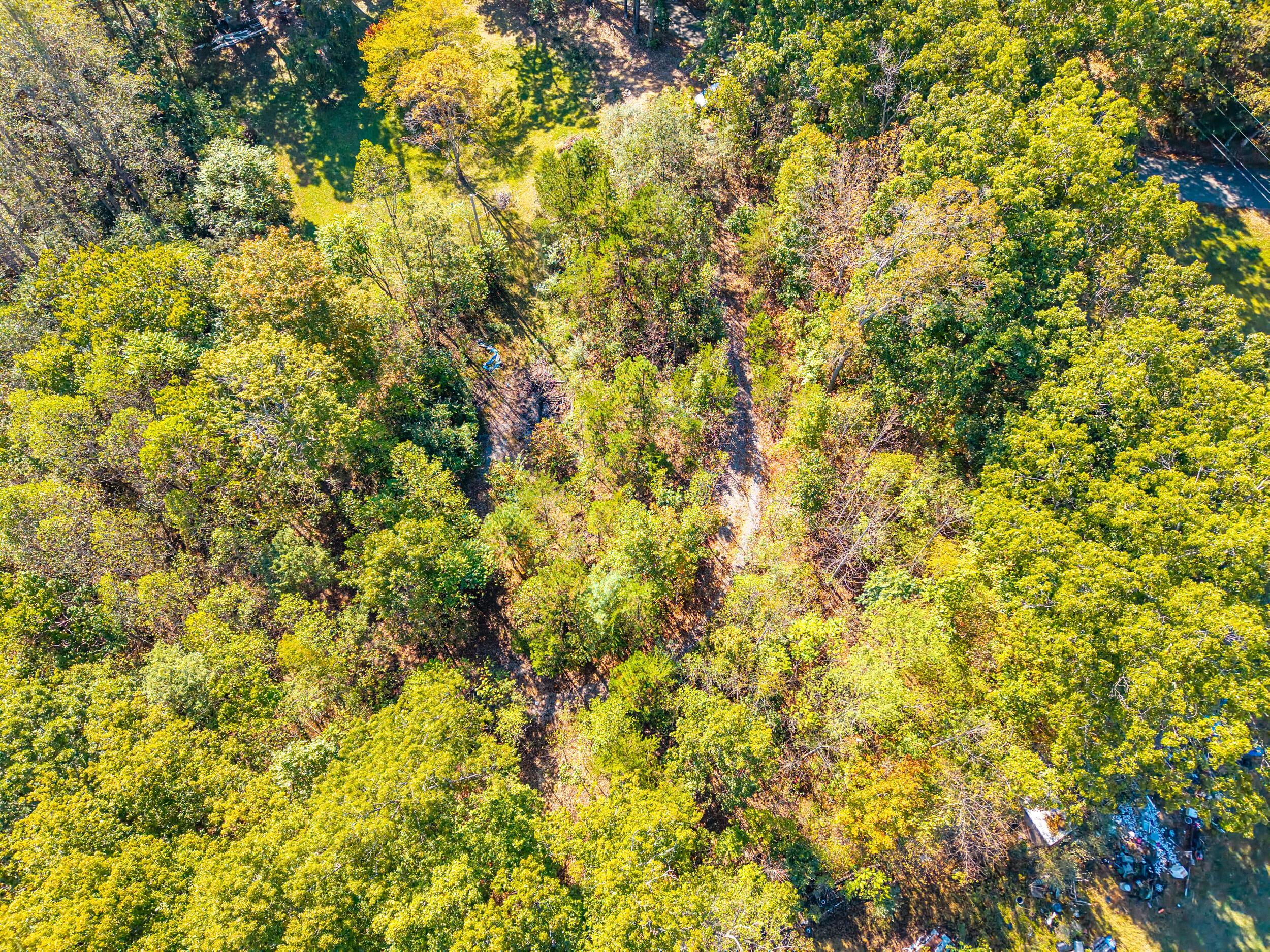 Image 4: stoney run_022