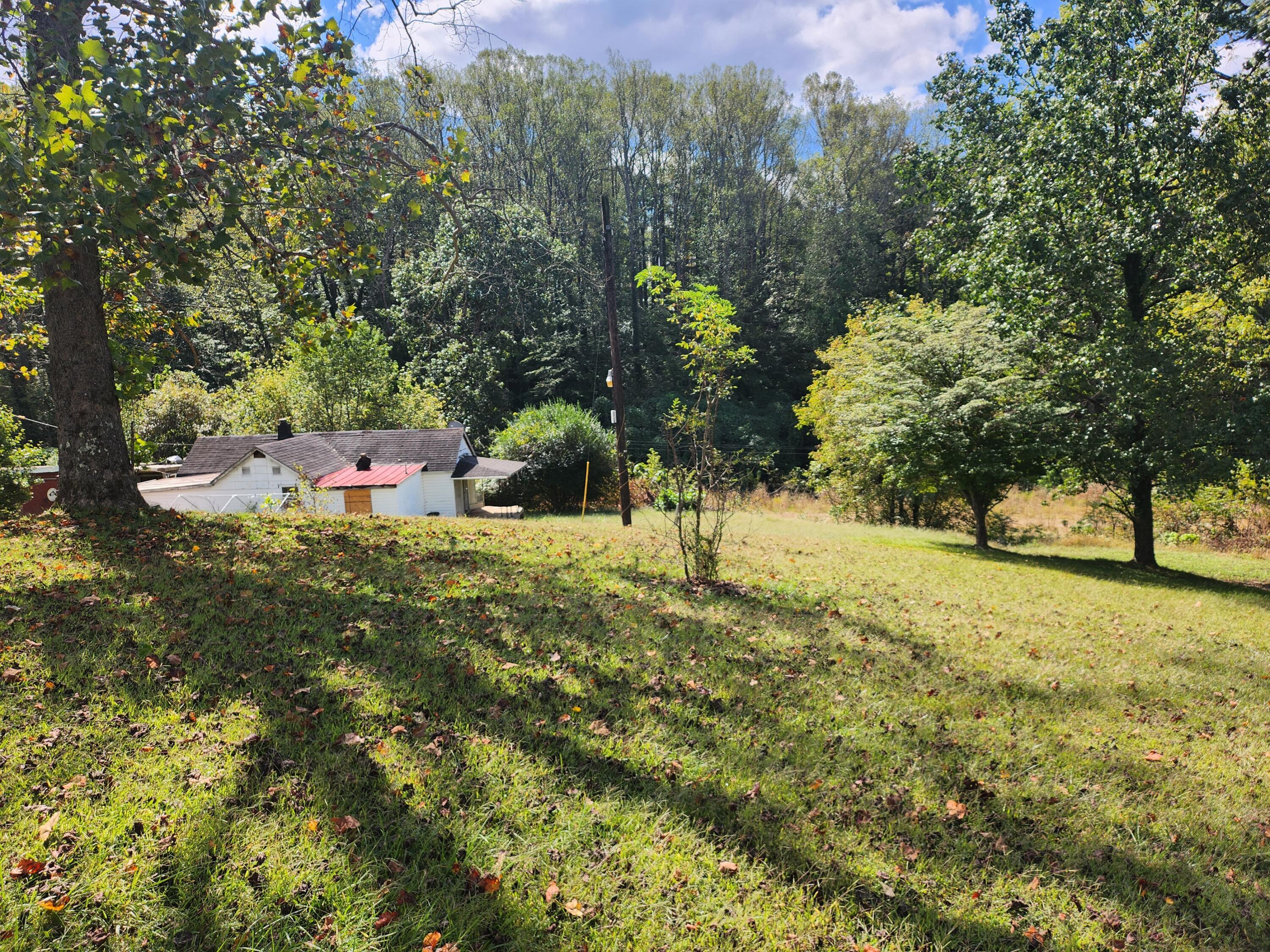 Image 3: 1000089075