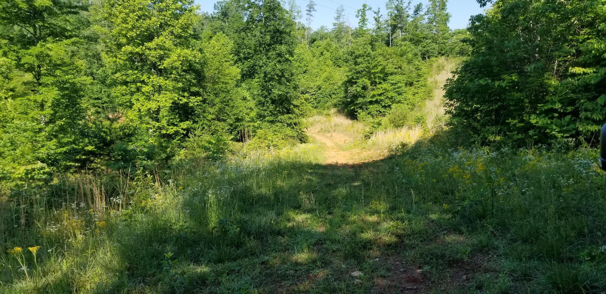 Image 1: 1