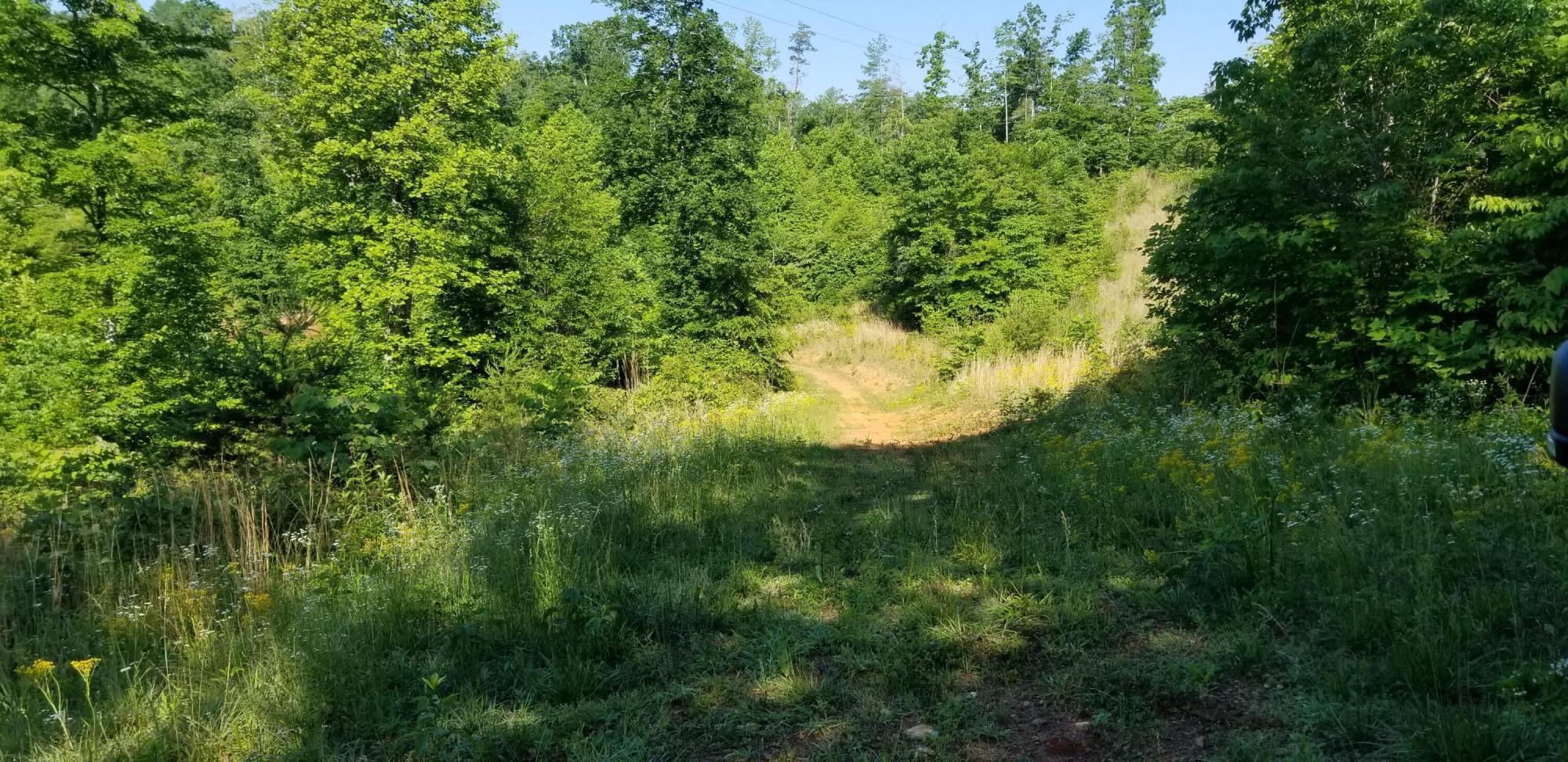 Image 2: 2