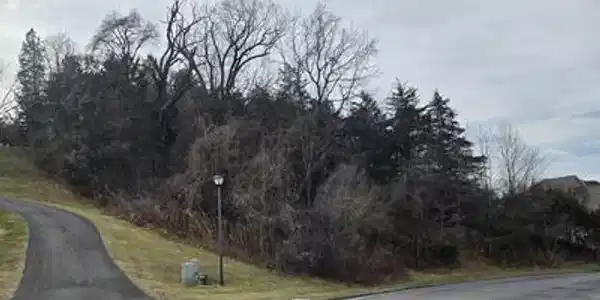 Lot 7 Frontier WAY