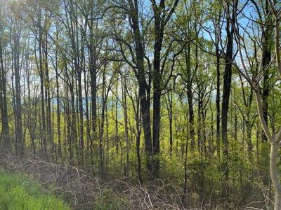 Lot #2 Jeters Chapel RD