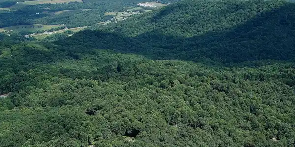 Lot #19 & lot Vista PKWY