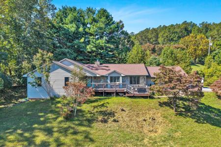 4625 Twelve Oclock Knob RD