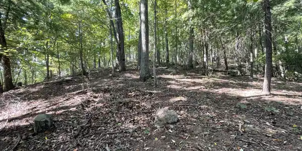 Image 3: Nice hiking