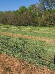 Lot 1 Calico Rock RD