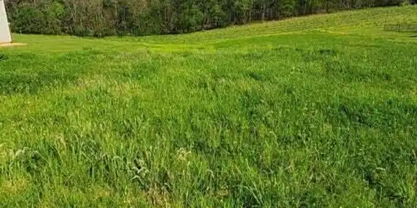 Lot 11 Calico Rock RD
