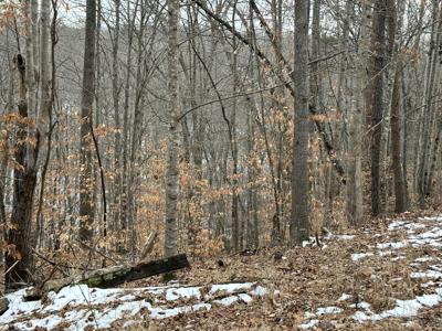 Lot 7 Trapper LN