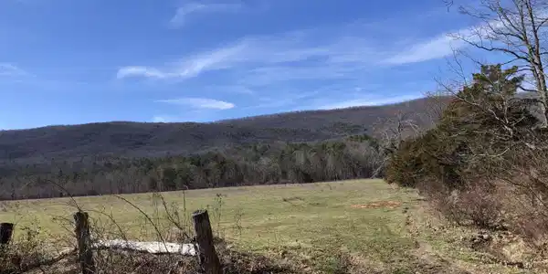 Lot #98 Potts Creek RD