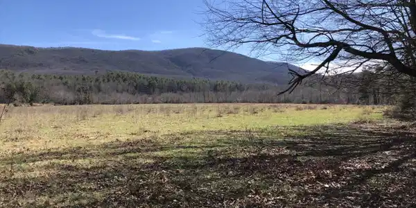 Lot #98 Potts Creek RD