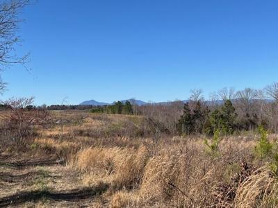 Tract 25B Falling Creek RD