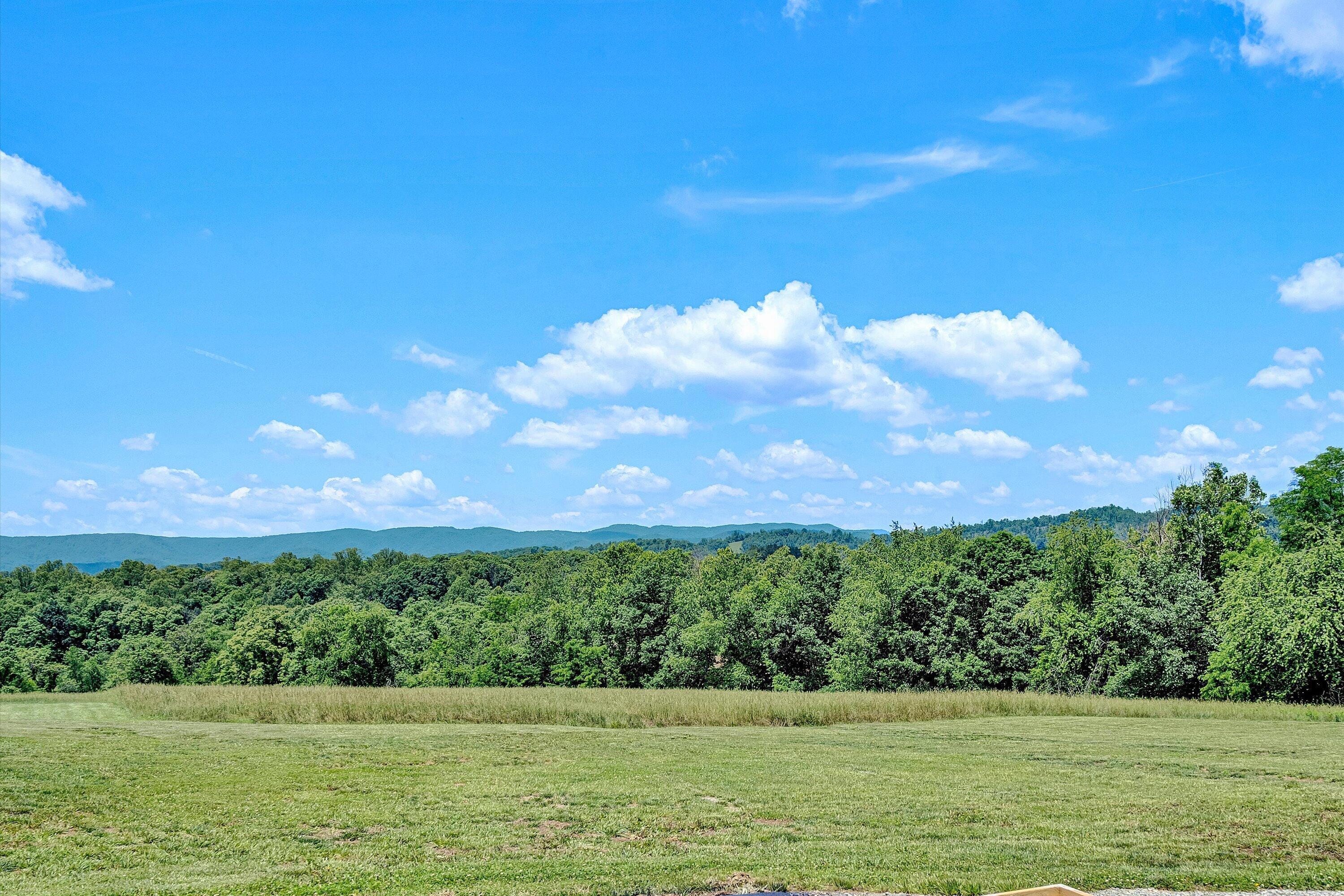 Image 2: Usable Back Yard