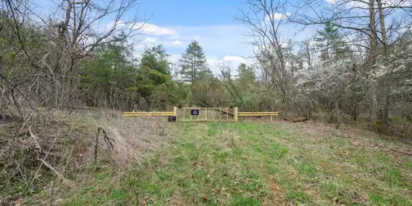 Lot #1 Cole Mountain RD