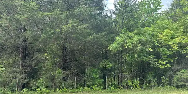 Gravel Hill RD