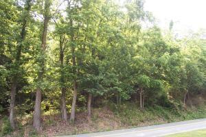 Lot #12 Sugar Loaf Mountain RD