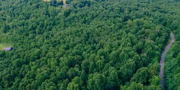 Lot #11 Reid RD