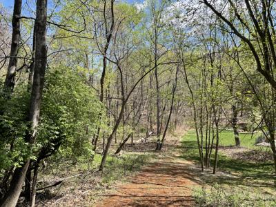 Lot 5 Fort Lewis Church RD
